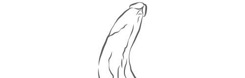 Tapered Dildos